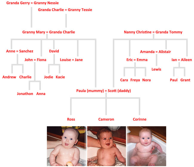 The Lindsay/Fitzpatrick Family Tree