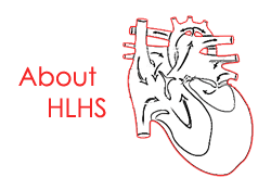 Click to learn more about HLHS